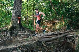 BIB: 
                            <button type="button" onclick="openModal(27547410)" class="btn btn-primary btn-sm float-right btn-popup" data-toggle="modal" data-target=".modal-high-quality">
                        <i class="fas fa-shopping-cart"></i> Add to Cart
                    </button>
                                            <button type="button" onclick="isThisMe(27547410, true)" class="btn btn-success btn-sm float-right btn-popup btn-isme hidden" data-toggle="tooltip" data-placement="bottom" title="นี่คือรูปของคุณใช่ไหม คลิกที่นี่เพื่อเอาเข้าอัลบั้ม">
                        <i class="fas fa-plus"></i> Add to album
                    </button>
                    <button type="button" onclick="isThisMe(27547410, false)" class="btn btn-warning btn-sm float-right btn-popup btn-isnotme hidden">
                        <i class="fas fa-ban"></i> Remove from album
                    </button>